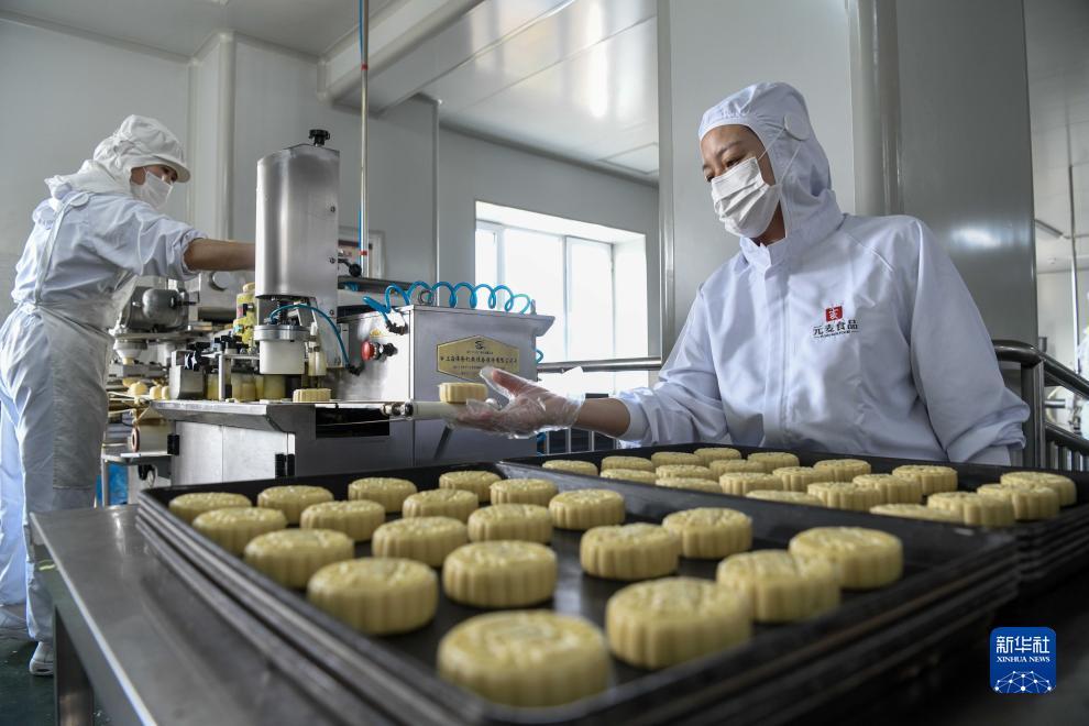 网上飞禽走兽数学打法